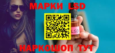 мдпв Кингисепп