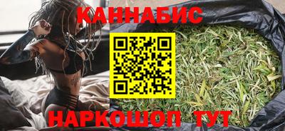 мдпв Кингисепп