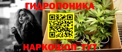мдпв Кингисепп