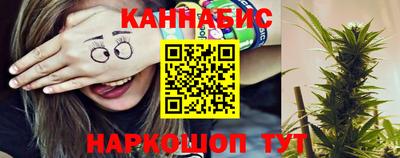 мдпв Кингисепп
