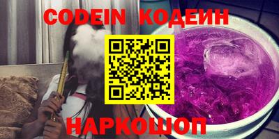 мдпв Кингисепп