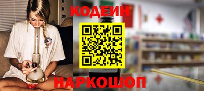 мдпв Кингисепп