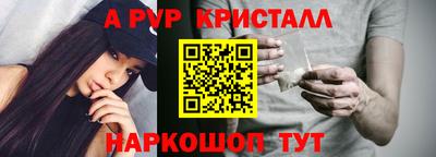мдпв Кингисепп