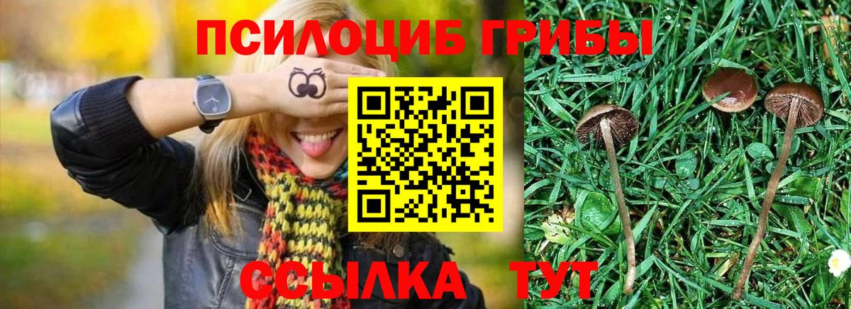 Галлюциногенные грибы MAGIC MUSHROOMS Энгельс